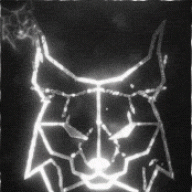 lynx