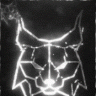 lynx