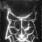 lynx